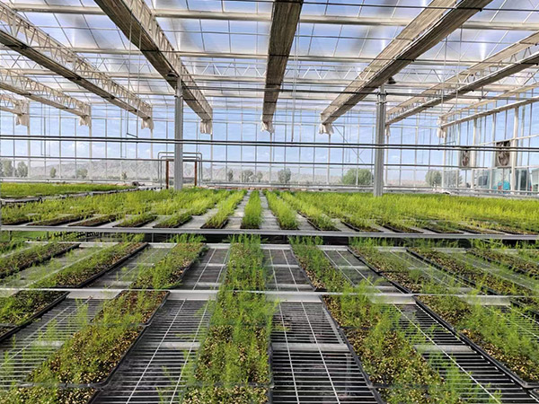 宁波无土科技栽培