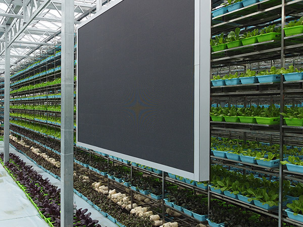 智能无土栽培大棚