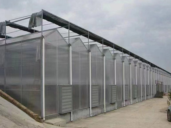 荷泽现代化阳光板温室
