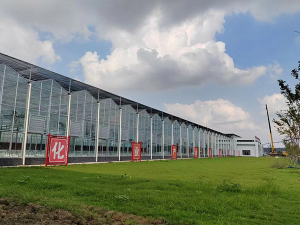 新乡智能玻璃温室大棚