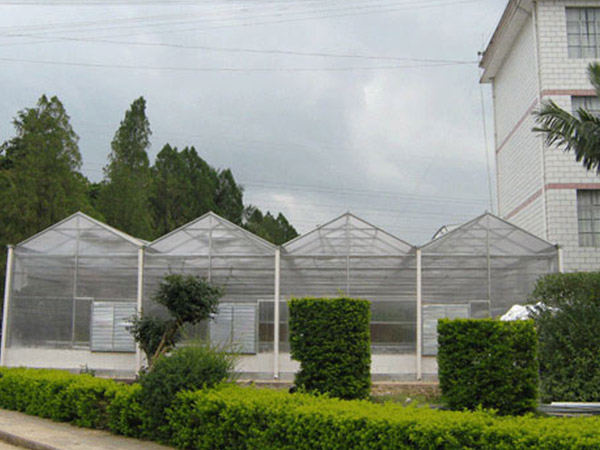 聊城阳光板温室大棚