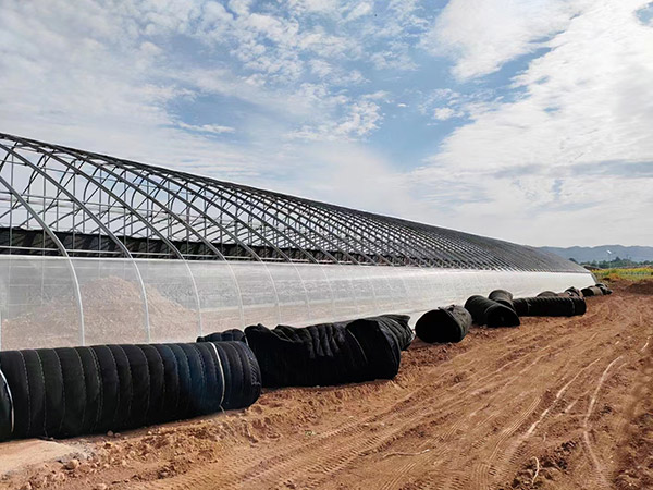 河南蔬菜日光大棚