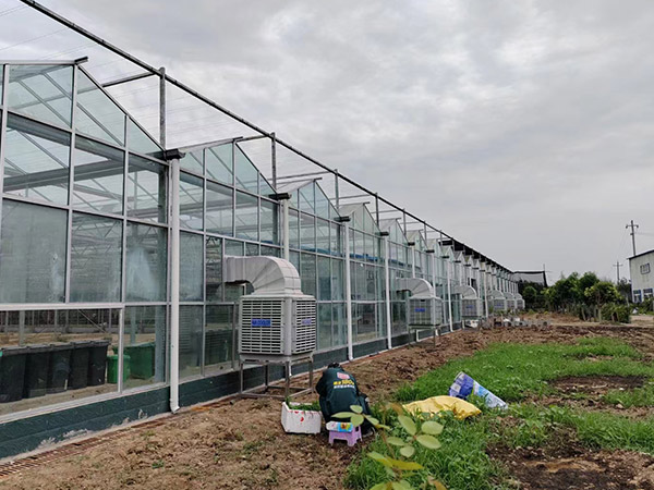 大连现代农业智能玻璃大棚