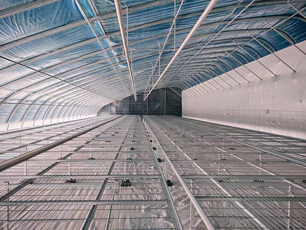 河南日光大棚建造