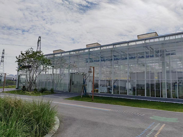 无锡玻璃温室大棚建设