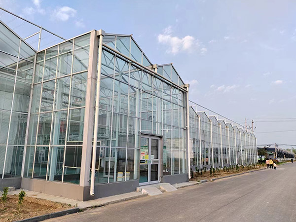 唐山玻璃温室大棚工程