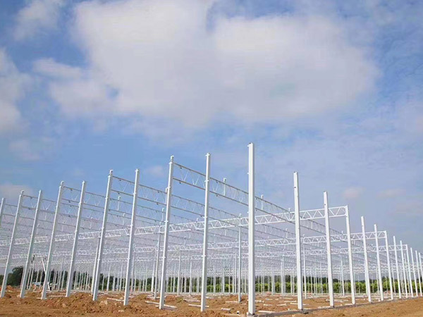 南京温室大棚骨架搭建