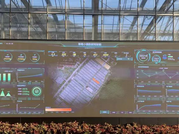 青海智能化管理温室大棚