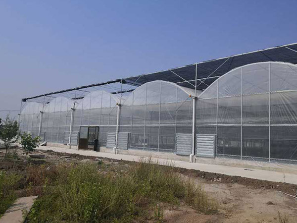烟台连栋薄膜大棚建设