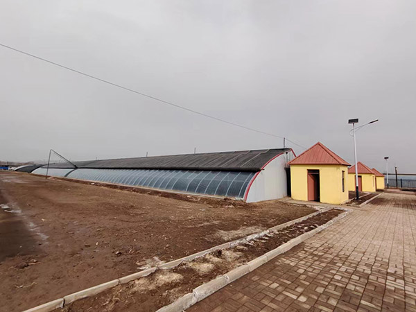 大连日光温室大棚