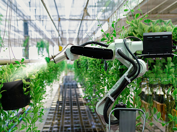 芜湖温室机器人