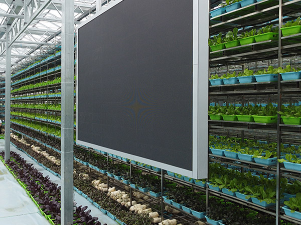 大连物联网控制系统